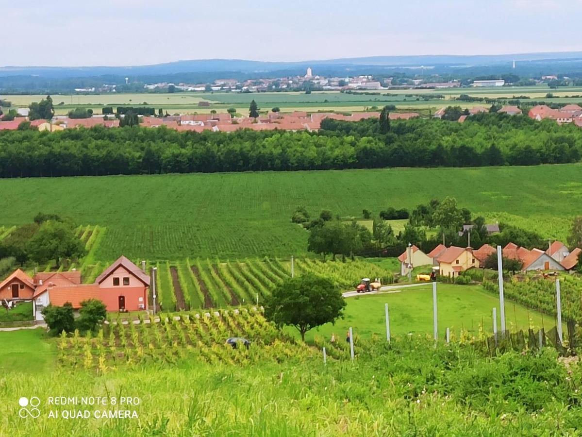 Gasthaus Sklipek U Svobodu Velké Bílovice Exterior foto